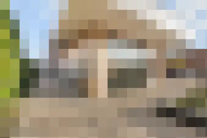 Tangelderhof 12 Tolkamer thumbnail 25