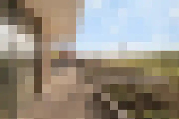 Tangelderhof 12 Tolkamer thumbnail 27