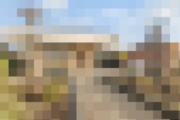 Tangelderhof 12 Tolkamer thumbnail 28