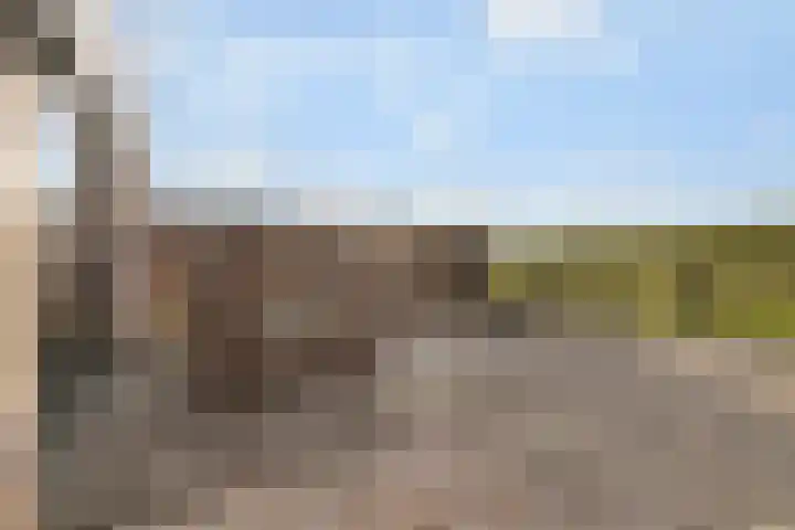 Tangelderhof 12 Tolkamer thumbnail 29