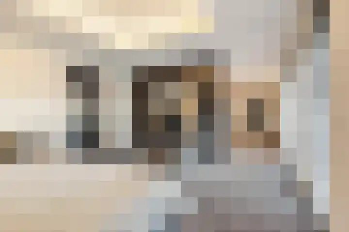 Tangelderhof 12 Tolkamer thumbnail 40