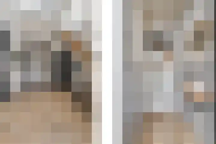 Tangelderhof 12 Tolkamer thumbnail 46
