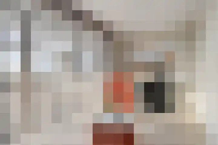Tangelderhof 12 Tolkamer thumbnail 47