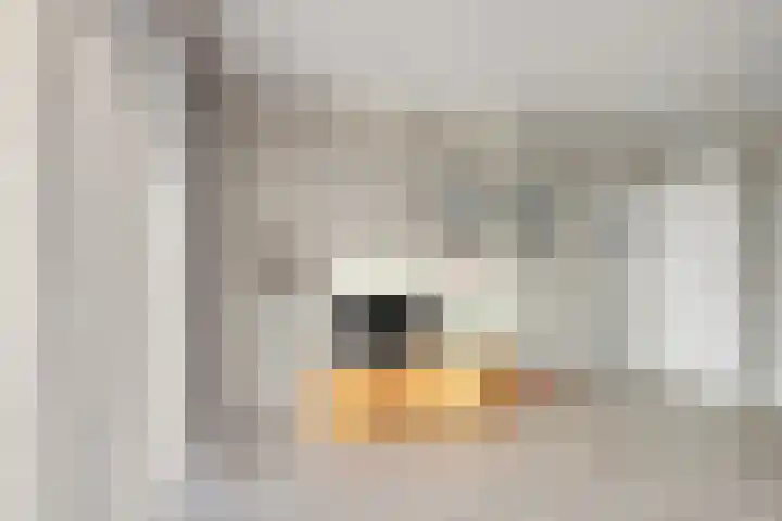 Tangelderhof 12 Tolkamer thumbnail 54