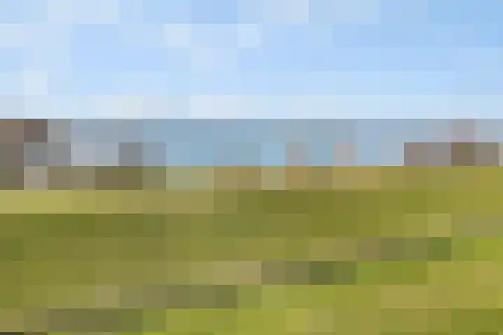 Tangelderhof 12 Tolkamer thumbnail 60