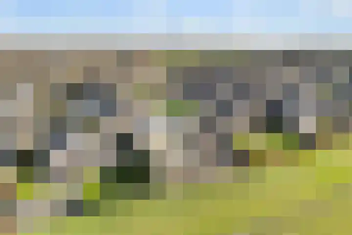 Tangelderhof 12 Tolkamer thumbnail 62
