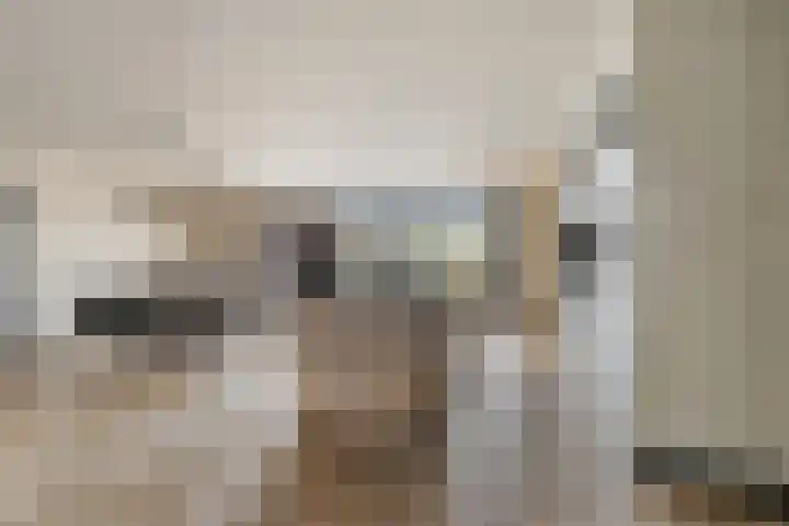 Tangelderhof 12 Tolkamer thumbnail 7