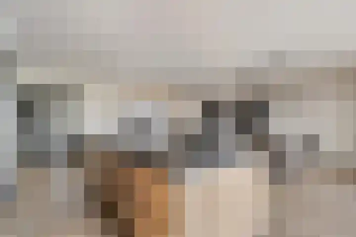 Tangelderhof 12 Tolkamer thumbnail 9