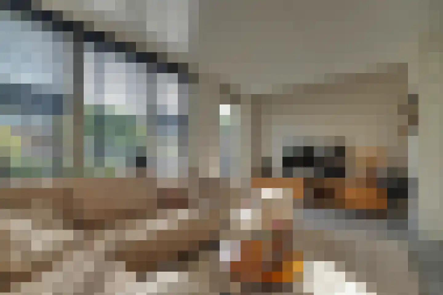 Tangelderhof 2 Tolkamer thumbnail 13
