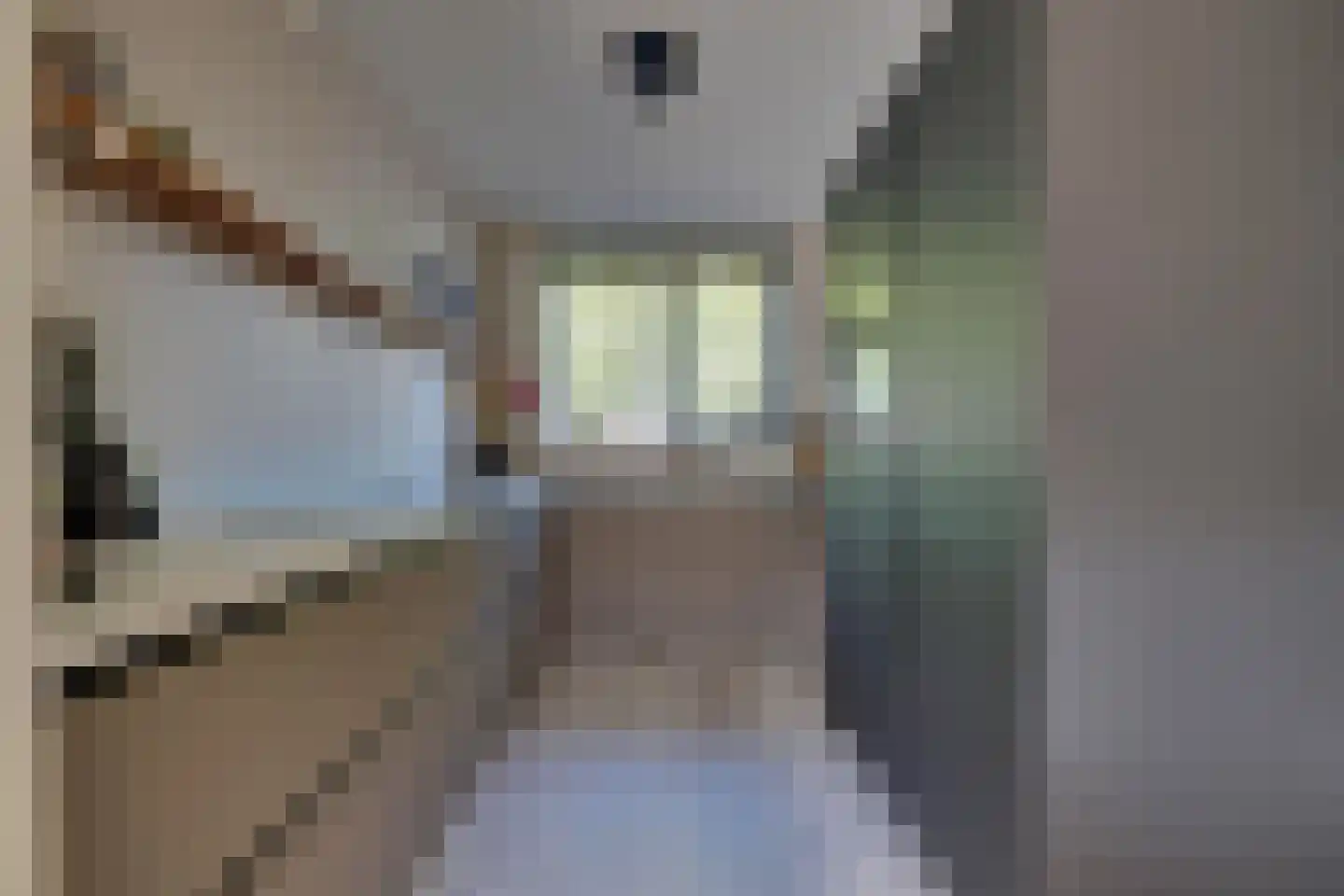Tangelderhof 2 Tolkamer thumbnail 15