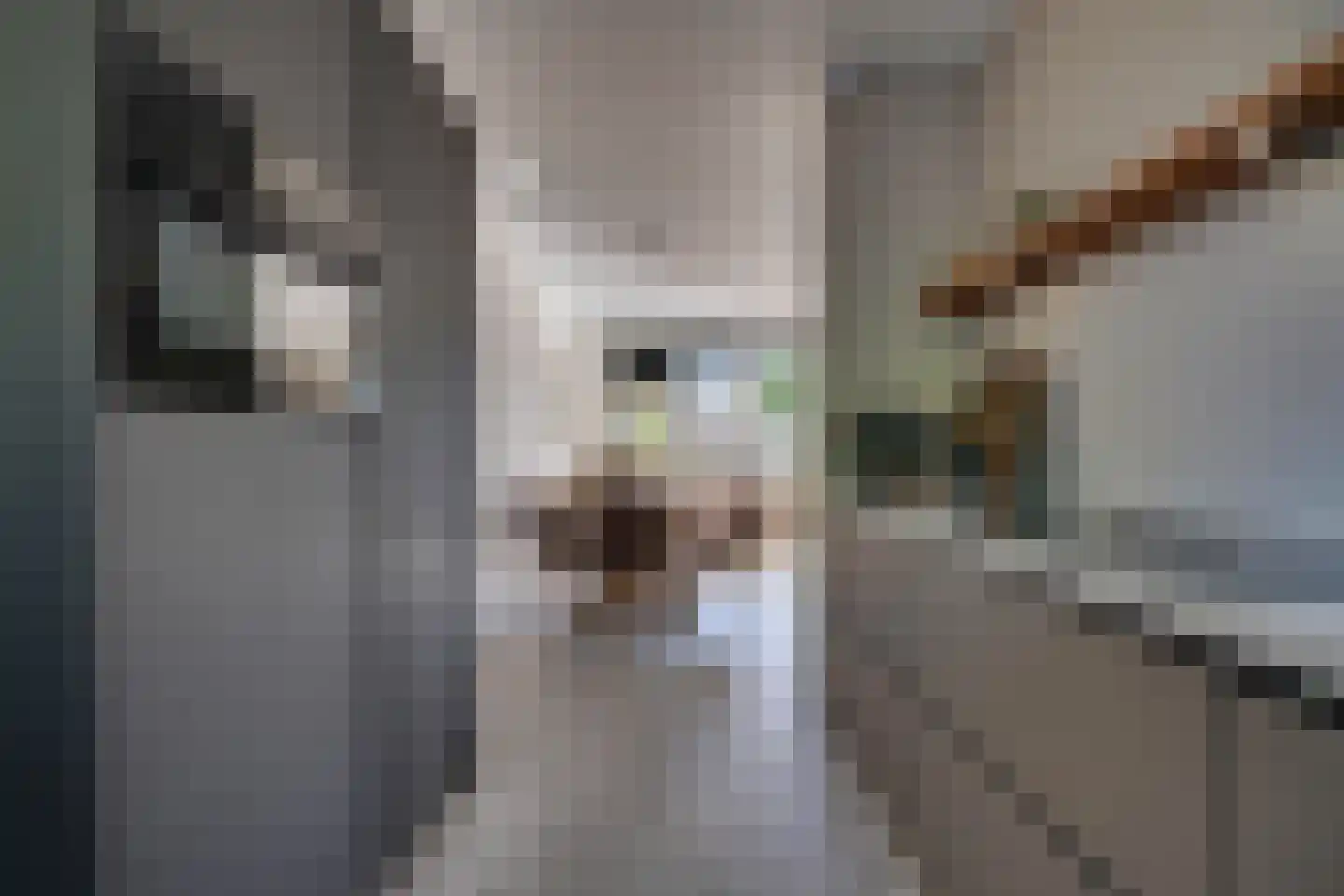 Tangelderhof 2 Tolkamer thumbnail 19