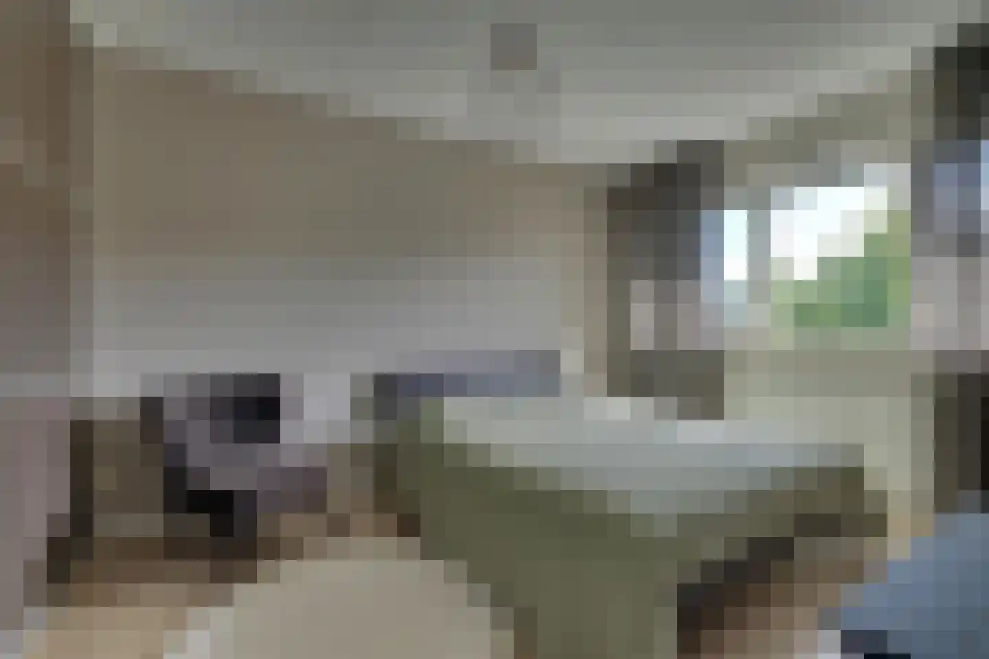 Tangelderhof 2 Tolkamer thumbnail 20