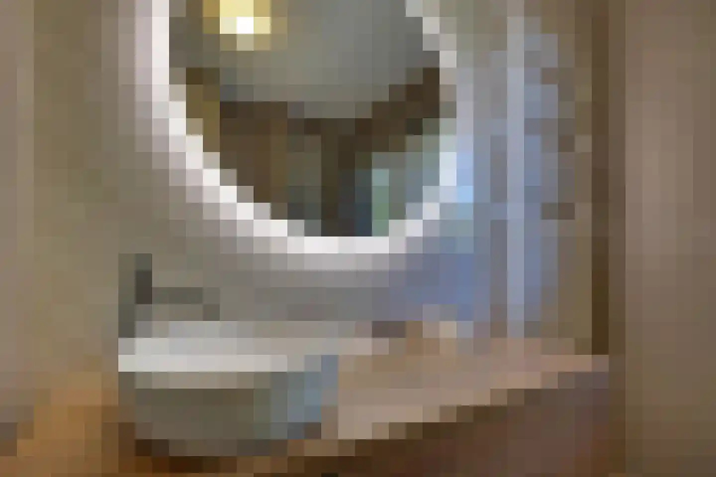 Tangelderhof 2 Tolkamer thumbnail 29