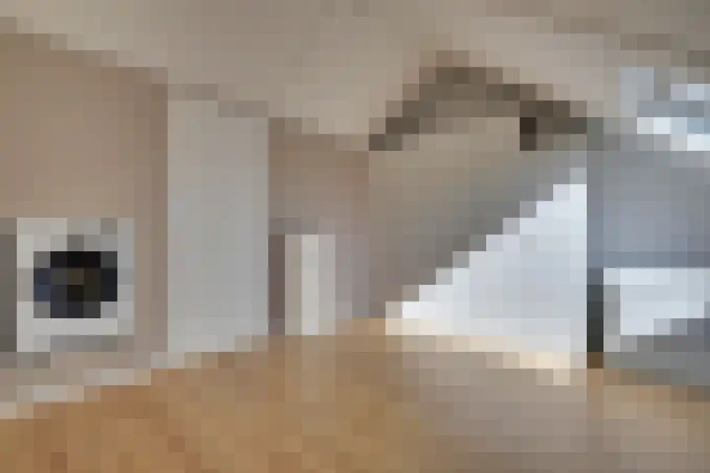 Tangelderhof 2 Tolkamer thumbnail 30