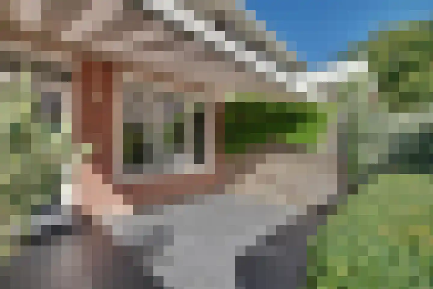 Tangelderhof 2 Tolkamer thumbnail 37