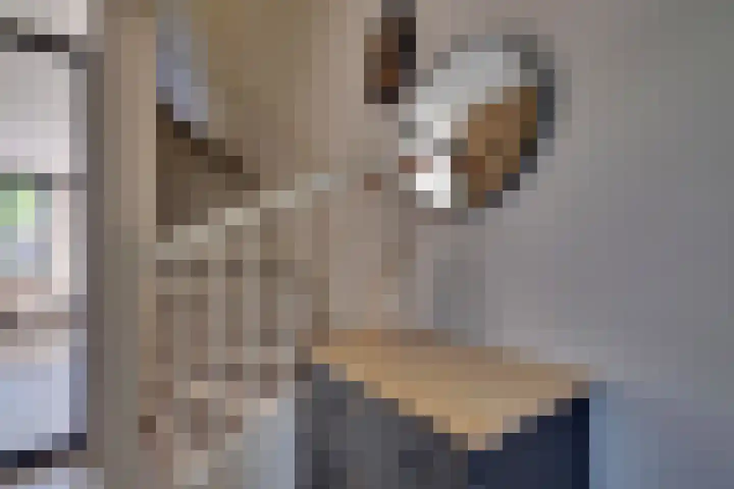 Tangelderhof 2 Tolkamer thumbnail 9