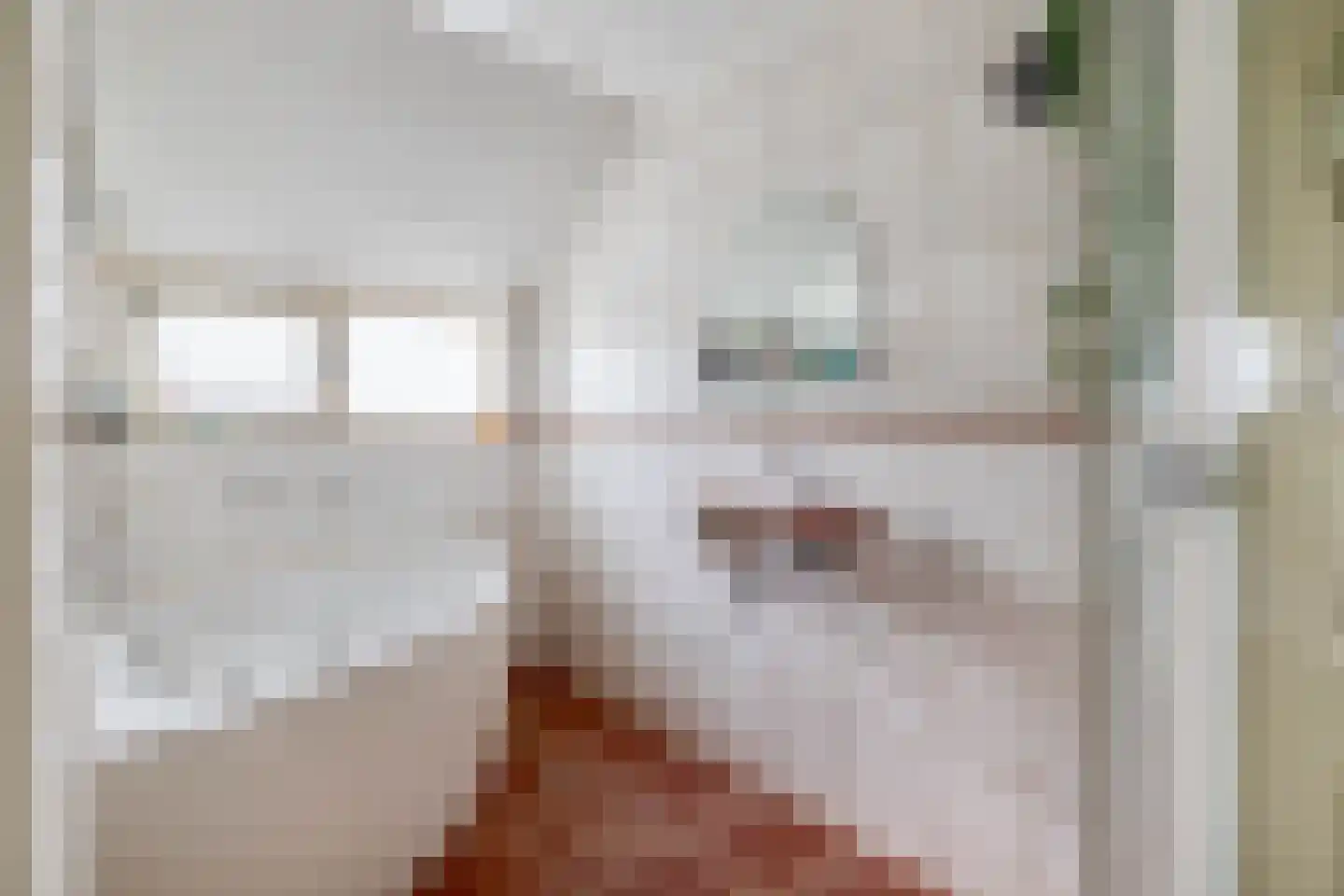 Tangerveldweg 6 Alteveer thumbnail 32