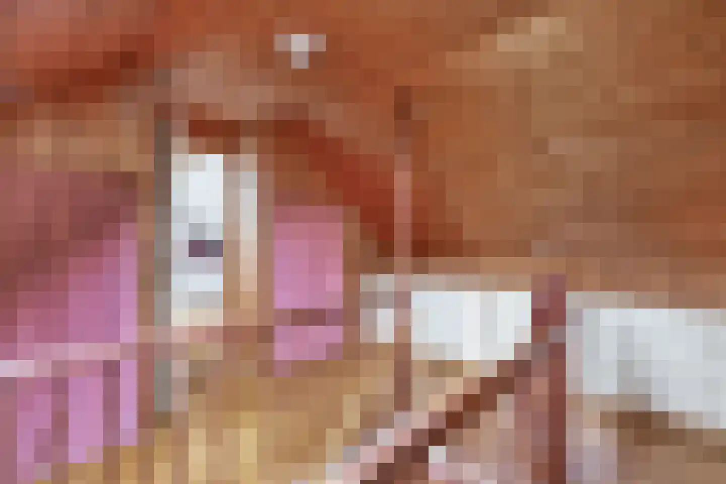 Tangerveldweg 6 Alteveer thumbnail 37