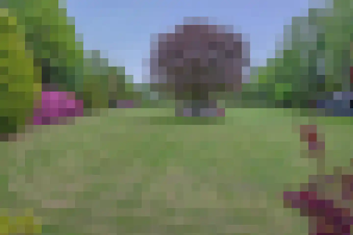 Tangerveldweg 6 Alteveer thumbnail 4