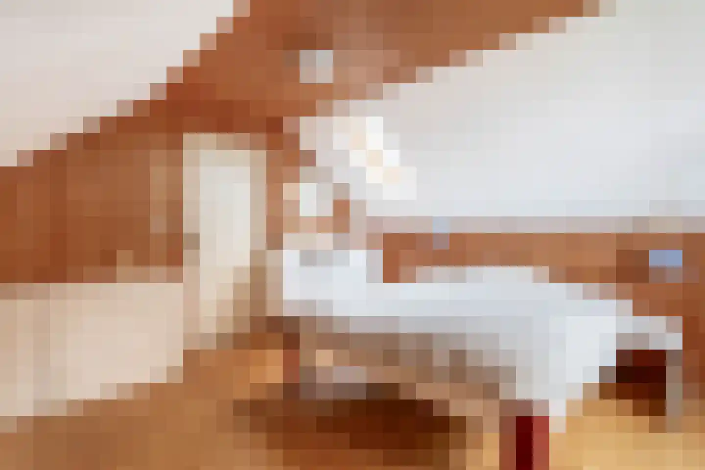 Tangerveldweg 6 Alteveer thumbnail 43