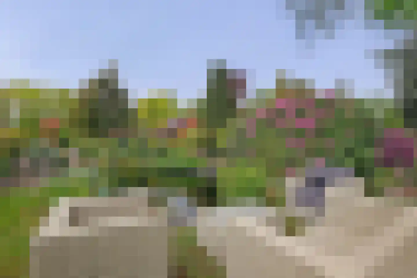 Tangerveldweg 6 Alteveer thumbnail 52