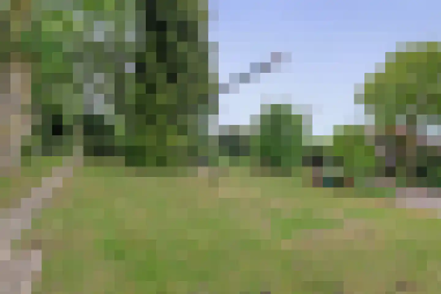 Tangerveldweg 6 Alteveer thumbnail 54