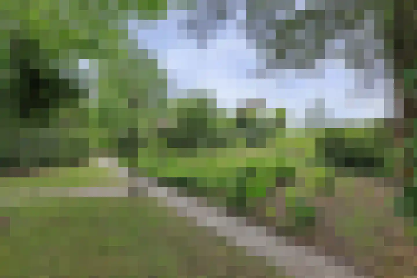 Tangerveldweg 6 Alteveer thumbnail 56