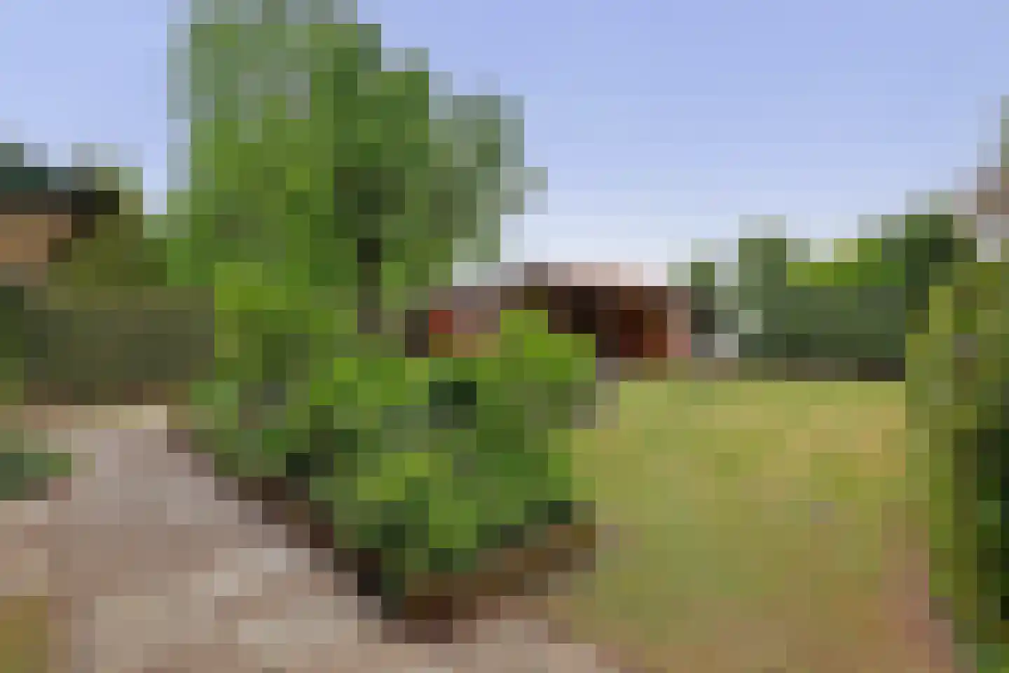 Tangerveldweg 6 Alteveer thumbnail 57
