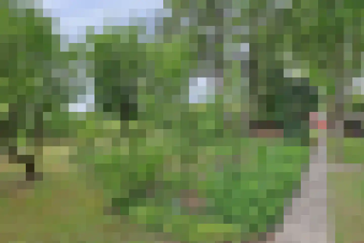 Tangerveldweg 6 Alteveer thumbnail 60