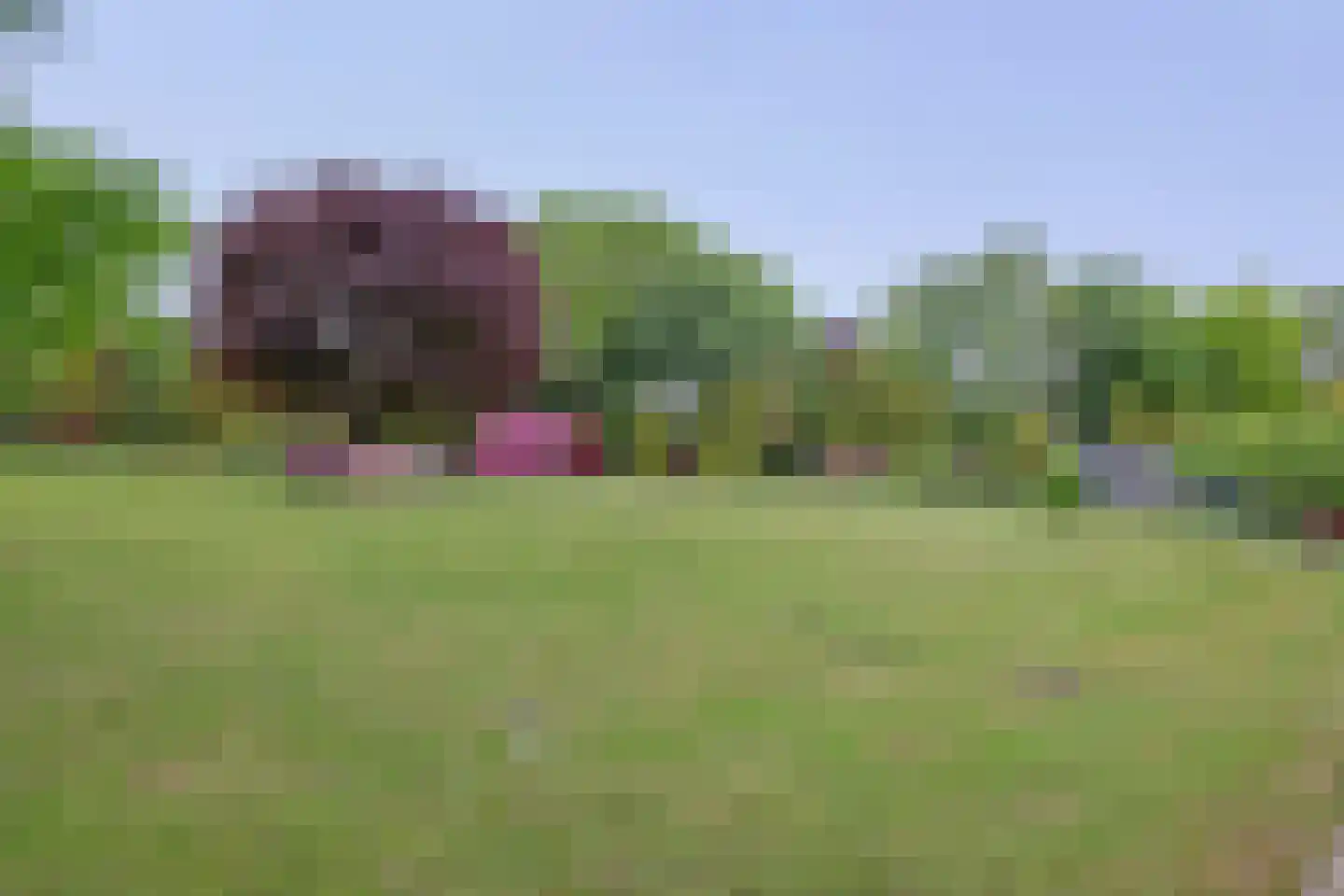 Tangerveldweg 6 Alteveer thumbnail 62