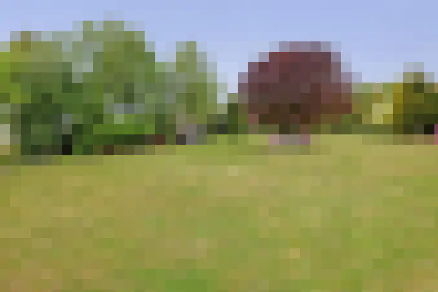 Tangerveldweg 6 Alteveer thumbnail 64