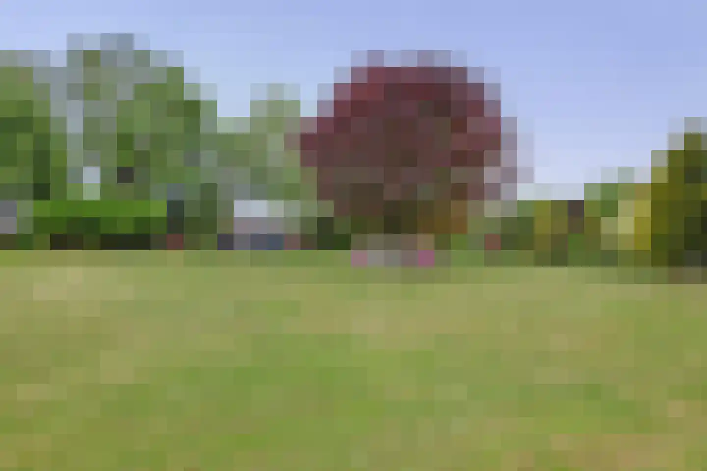 Tangerveldweg 6 Alteveer thumbnail 65
