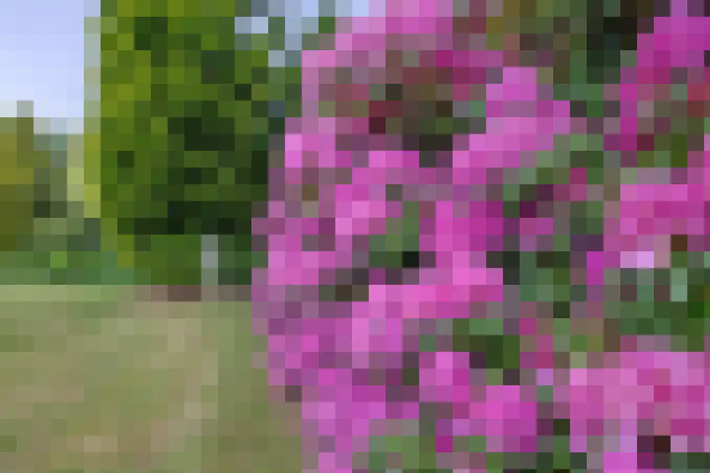 Tangerveldweg 6 Alteveer thumbnail 66