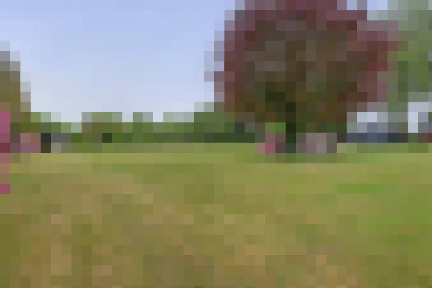 Tangerveldweg 6 Alteveer thumbnail 67