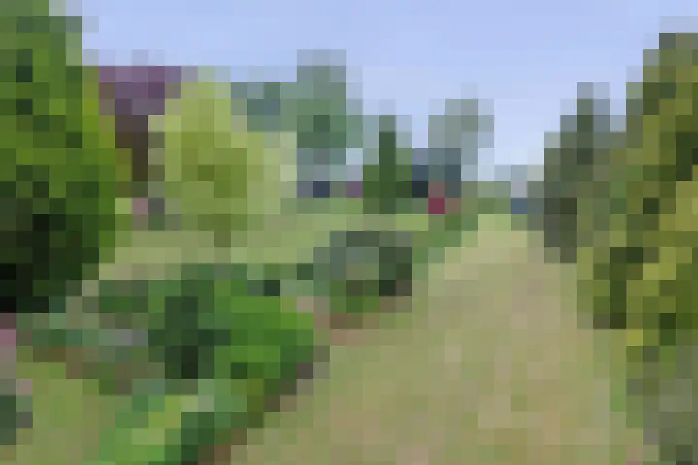 Tangerveldweg 6 Alteveer thumbnail 68