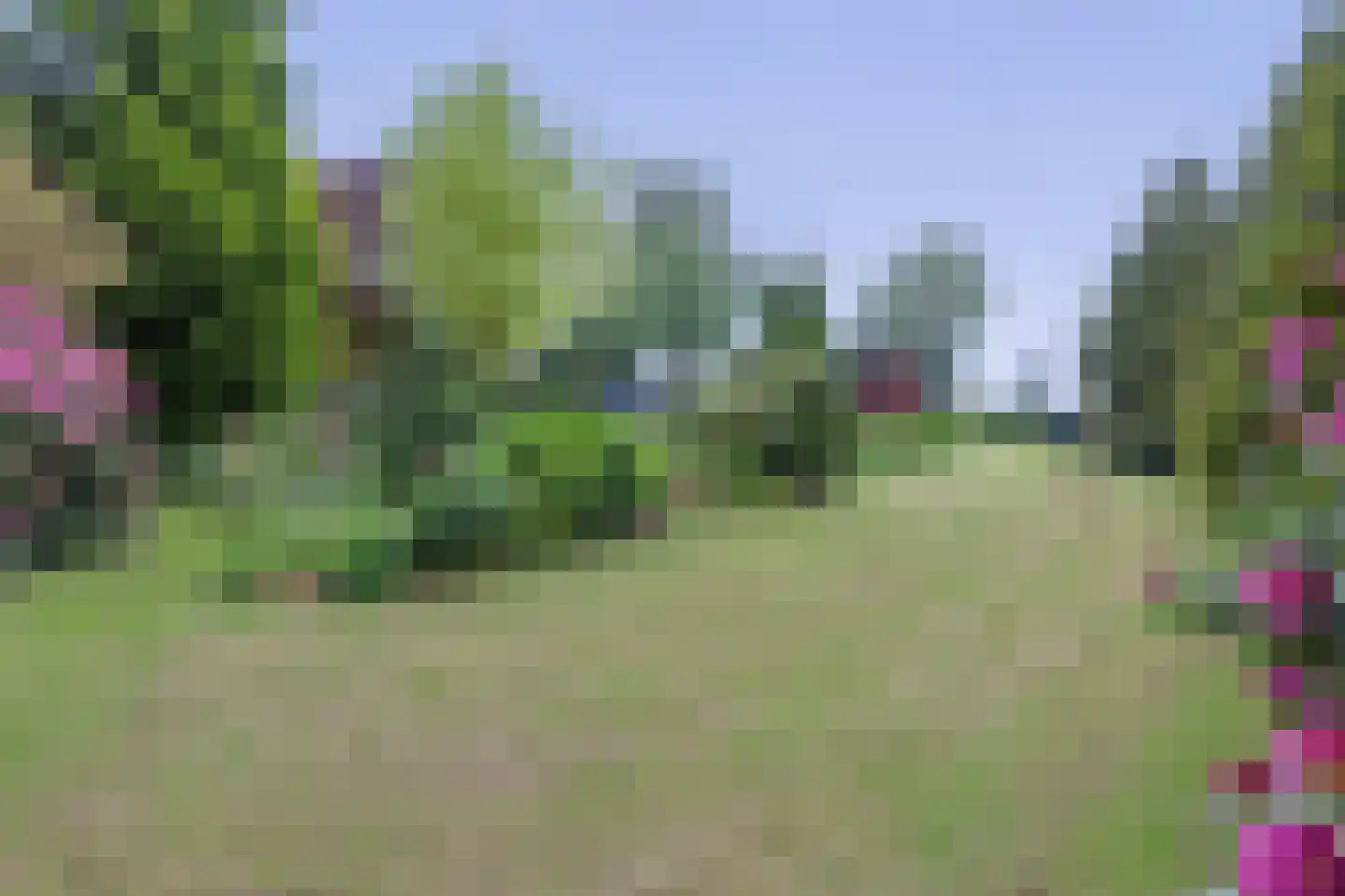 Tangerveldweg 6 Alteveer thumbnail 69