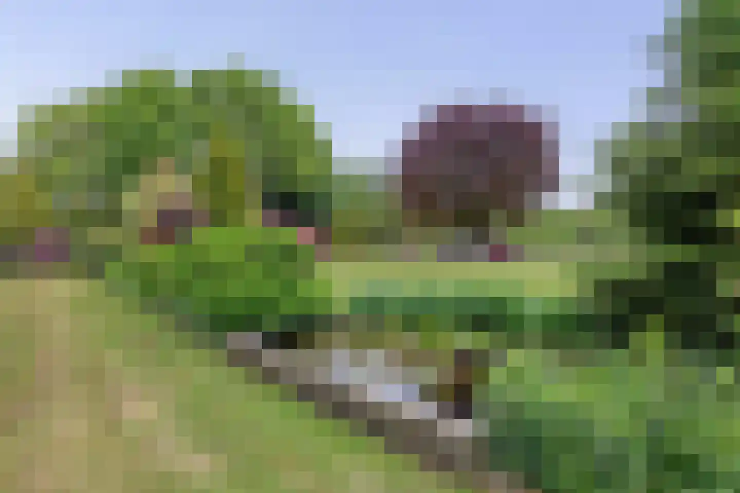 Tangerveldweg 6 Alteveer thumbnail 70