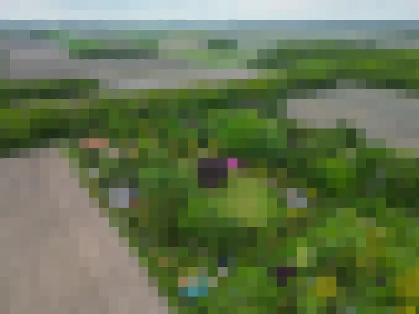 Tangerveldweg 6 Alteveer thumbnail 73