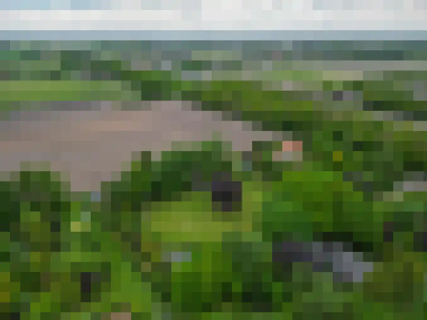 Tangerveldweg 6 Alteveer thumbnail 74