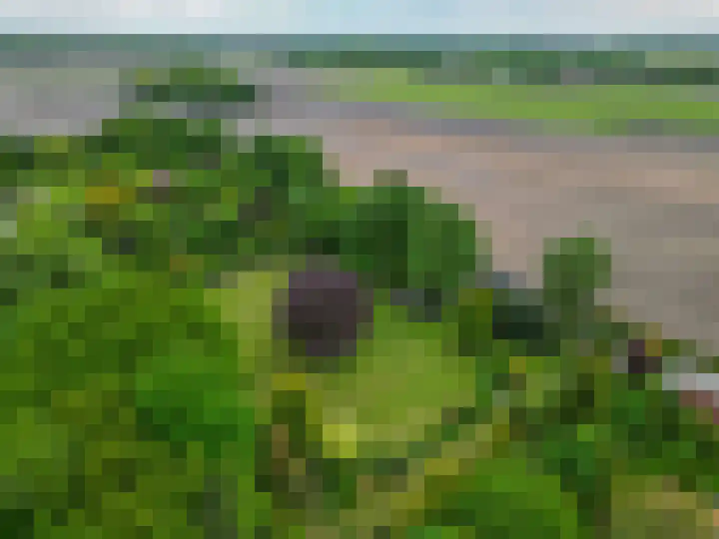 Tangerveldweg 6 Alteveer thumbnail 75