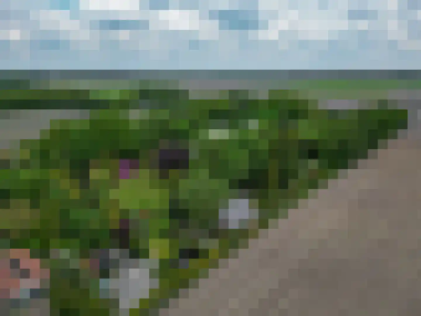 Tangerveldweg 6 Alteveer thumbnail 76