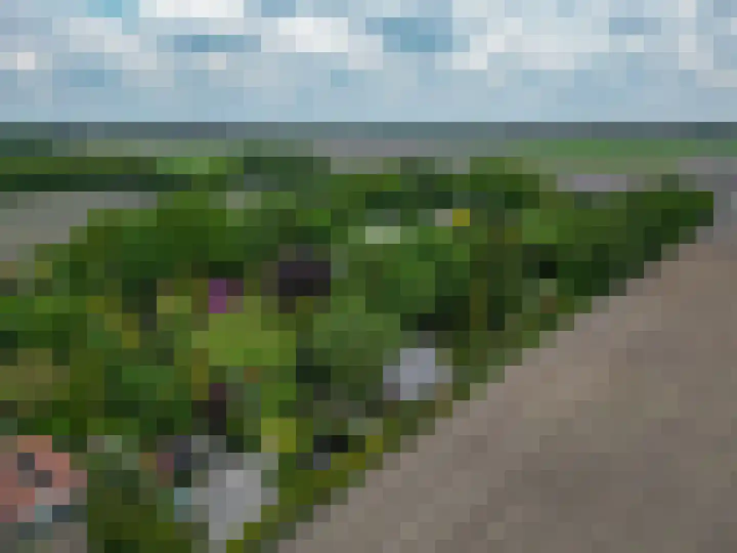 Tangerveldweg 6 Alteveer thumbnail 76