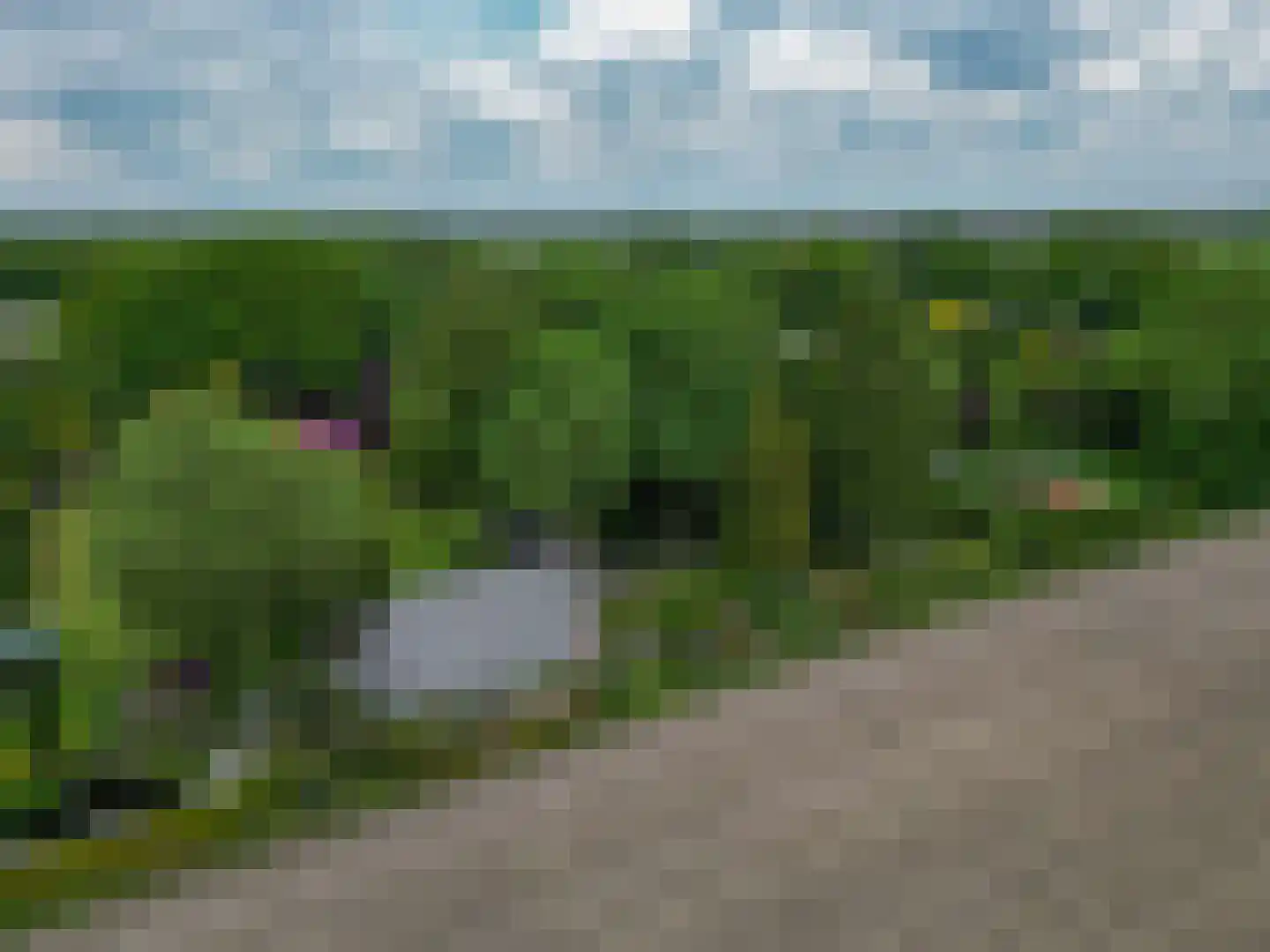 Tangerveldweg 6 Alteveer thumbnail 78