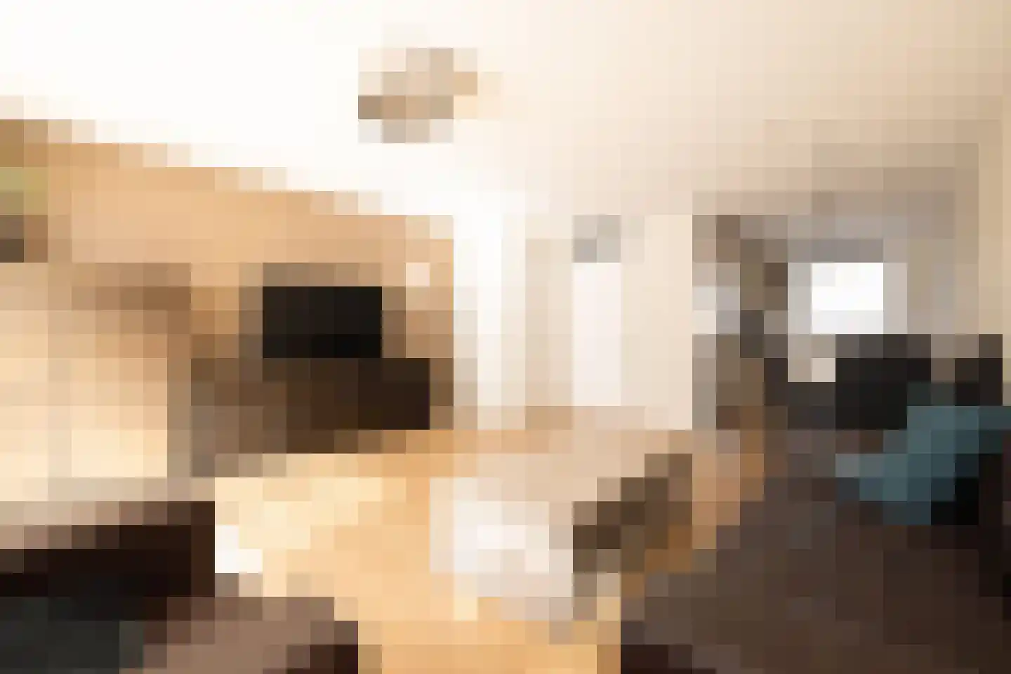 Tangostraat 9 Almere thumbnail 20
