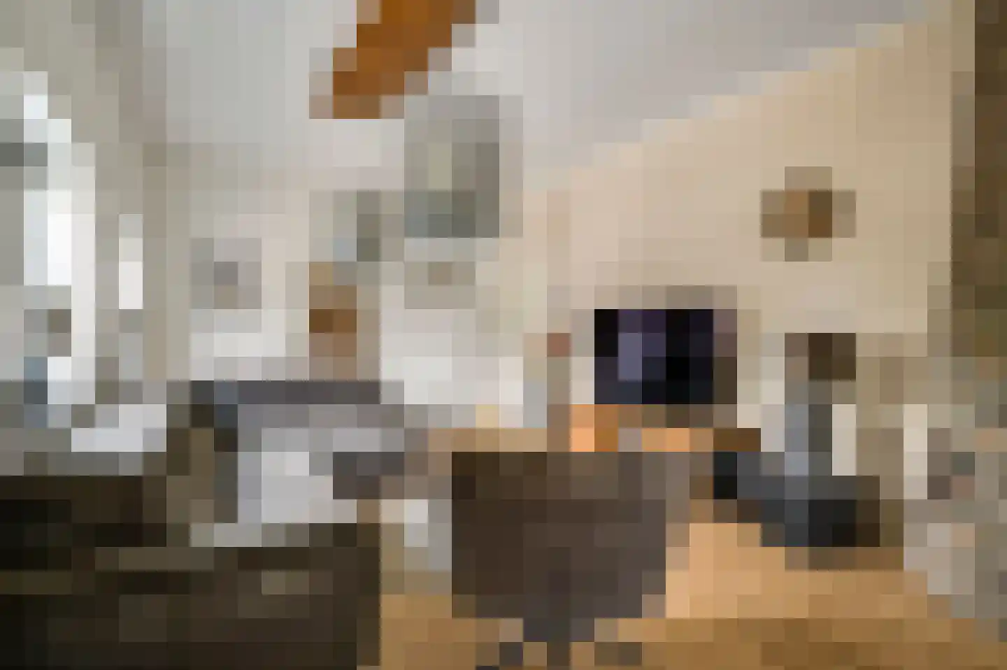 Tangweg 28 Baarlo thumbnail 10