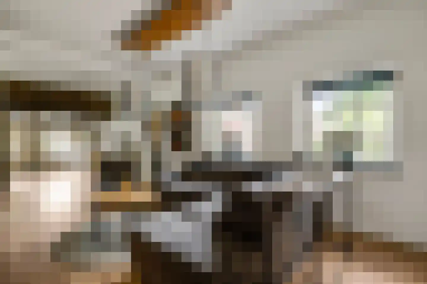 Tangweg 28 Baarlo thumbnail 11
