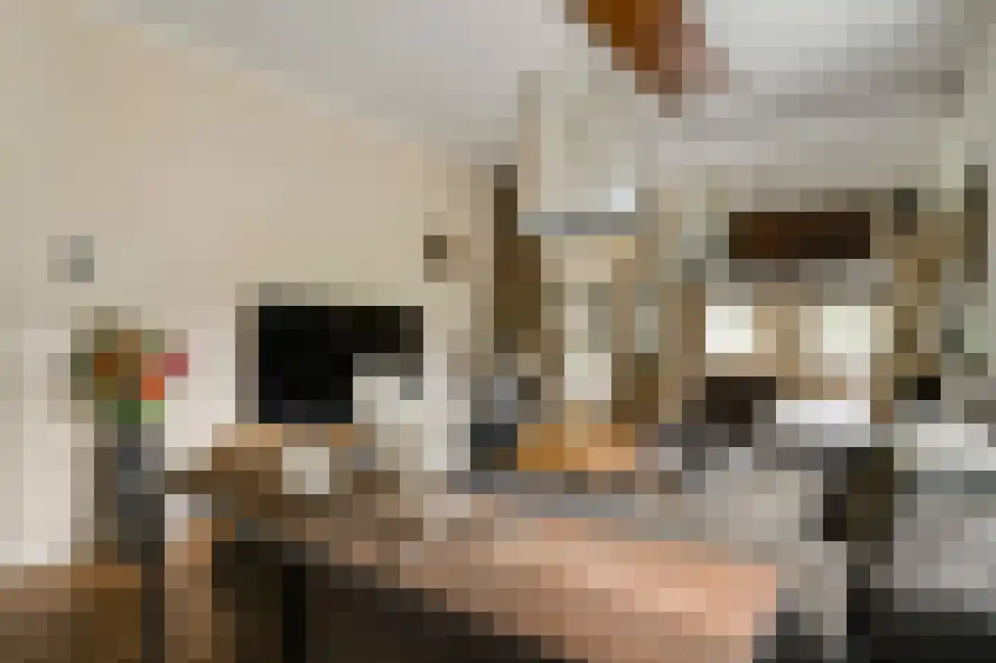 Tangweg 28 Baarlo thumbnail 12