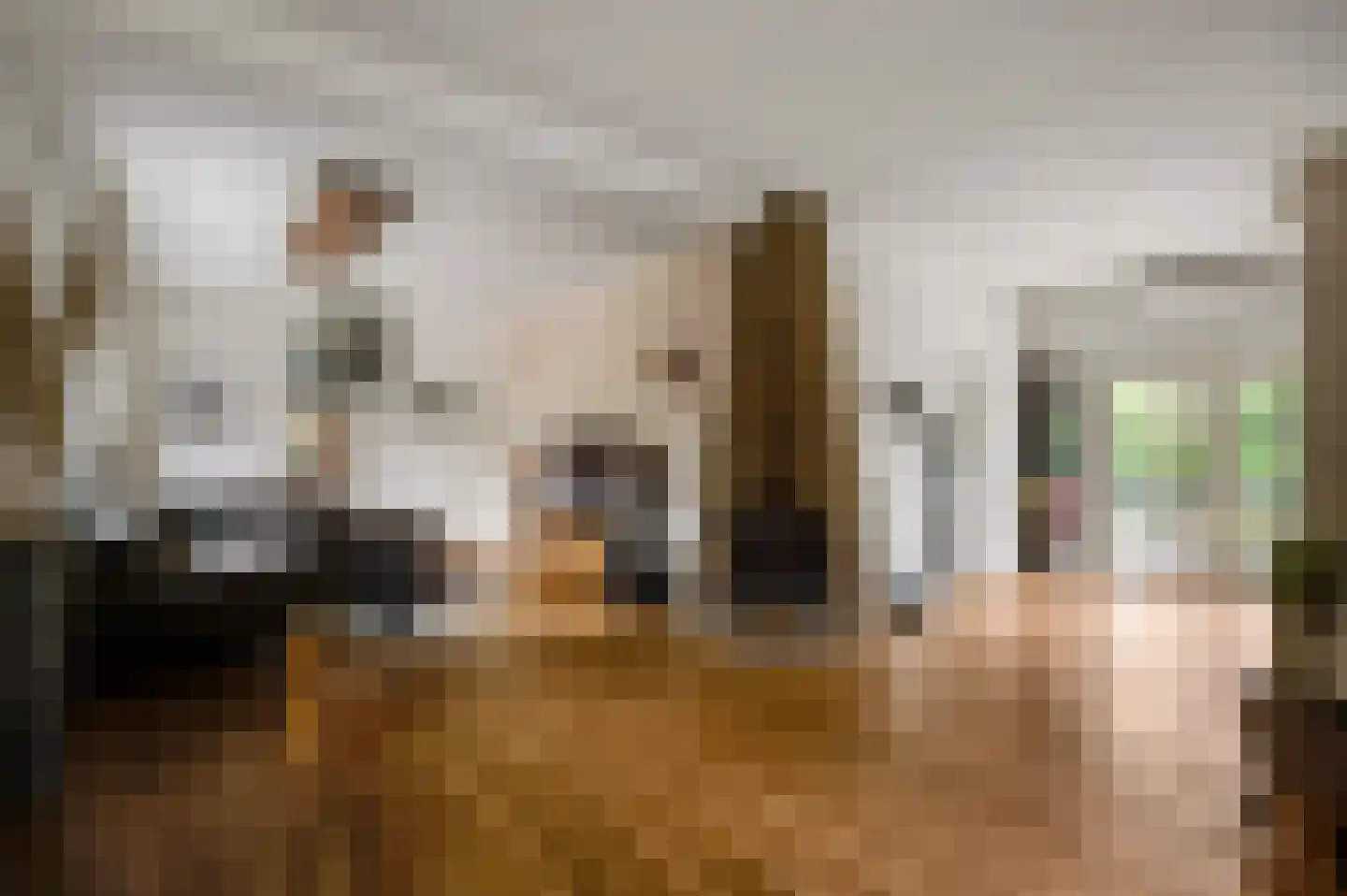 Tangweg 28 Baarlo thumbnail 13