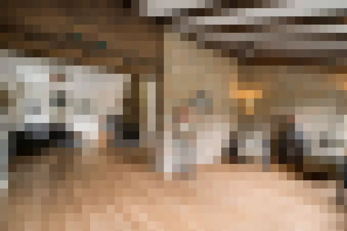 Tangweg 28 Baarlo thumbnail 14