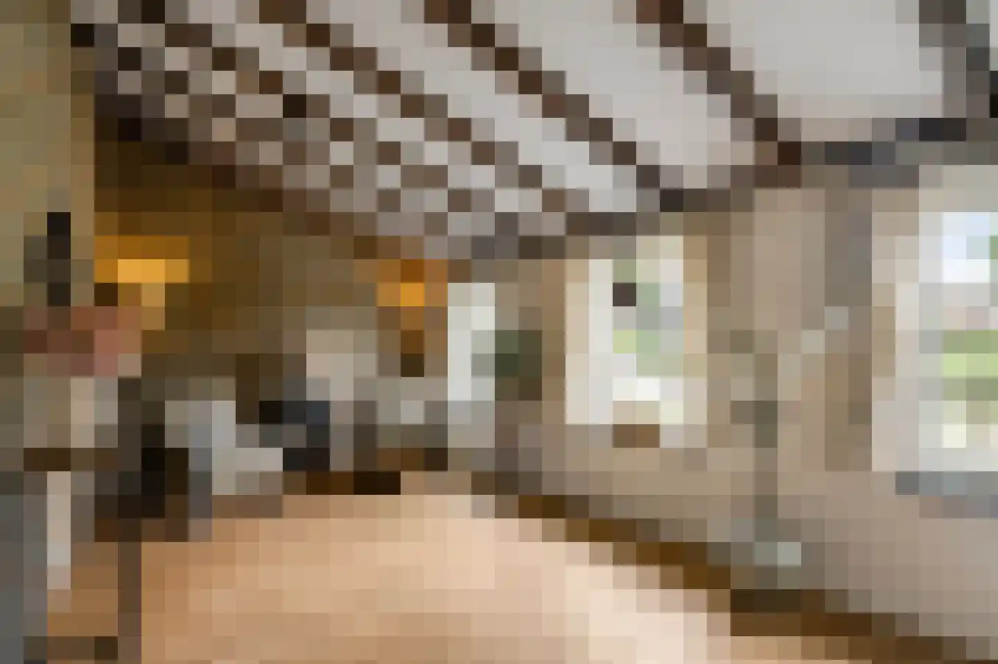 Tangweg 28 Baarlo thumbnail 15